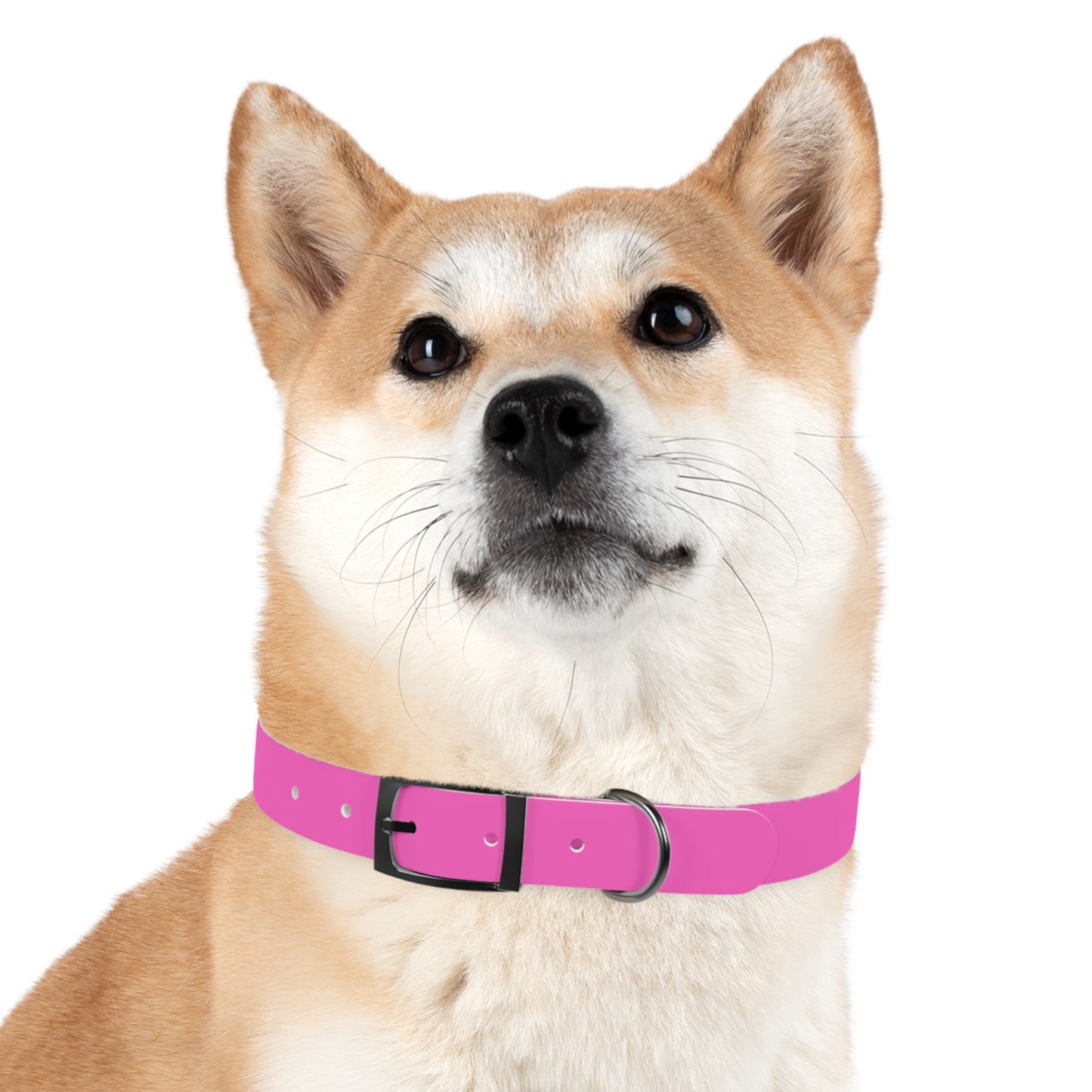 The Tailored All-Weather Collar (Pink)
