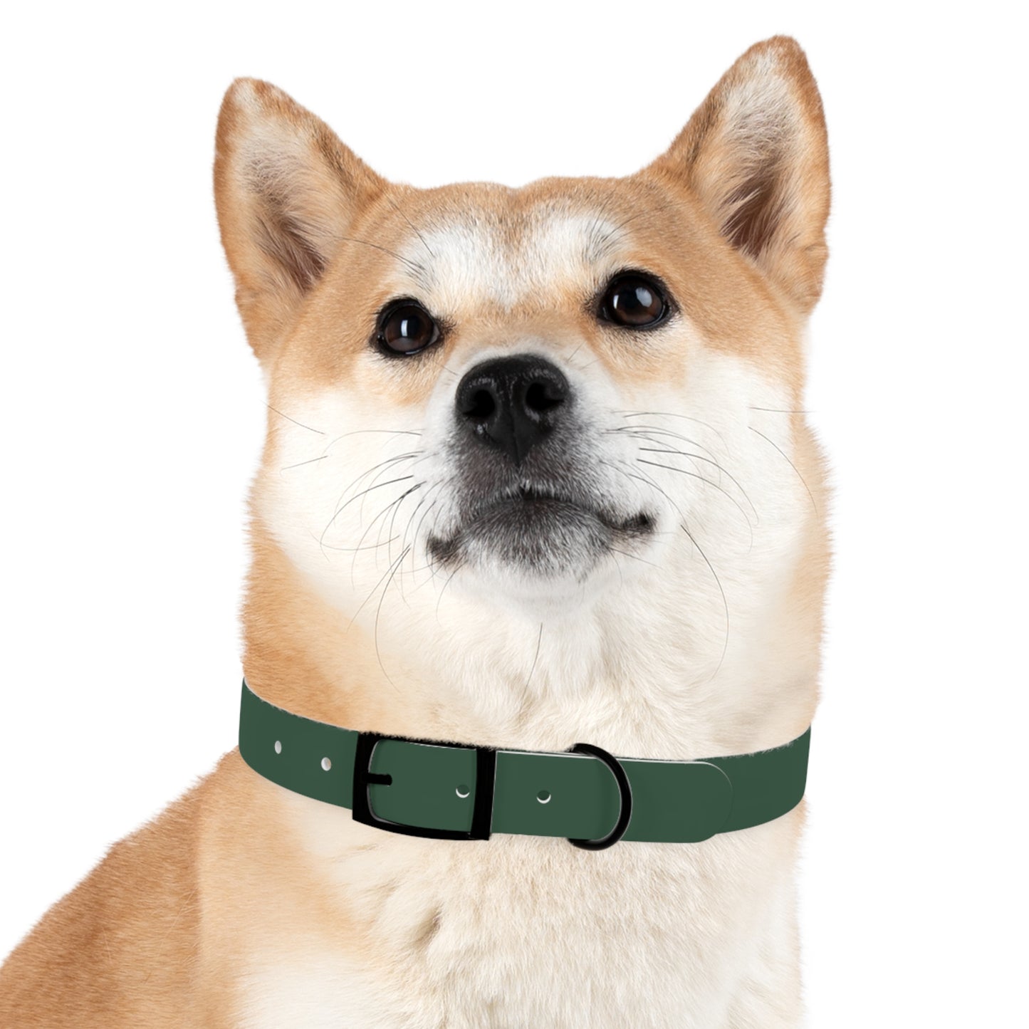 The Tailored All-Weather Collar (Hunter Green)