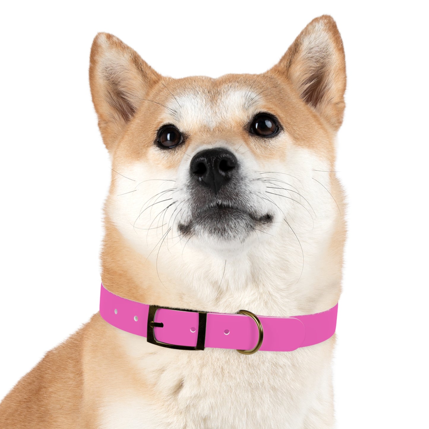 The Tailored All-Weather Collar (Pink)