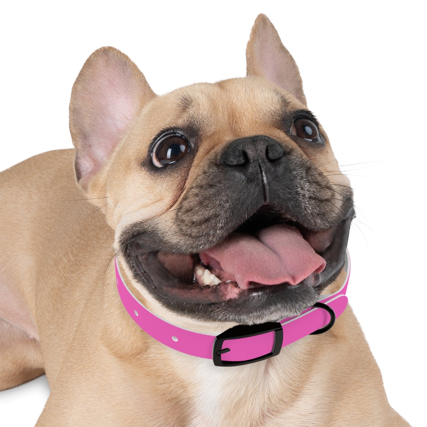The Tailored All-Weather Collar (Pink)